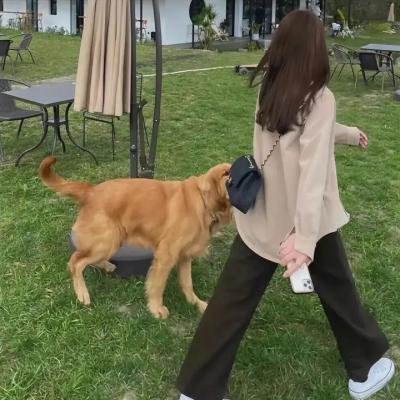 我身记忆