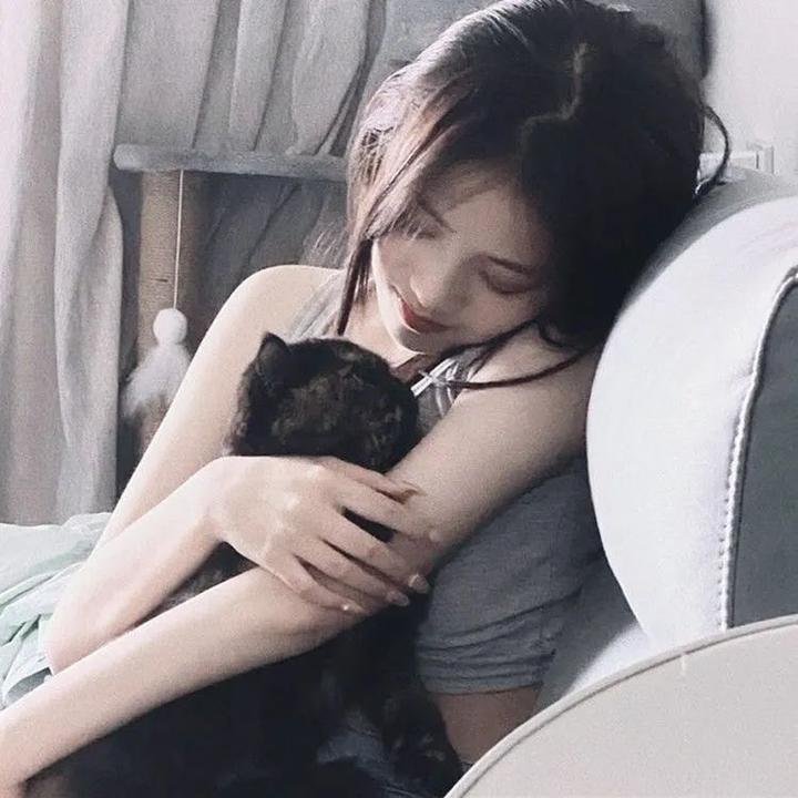 我的小狗斯齐普